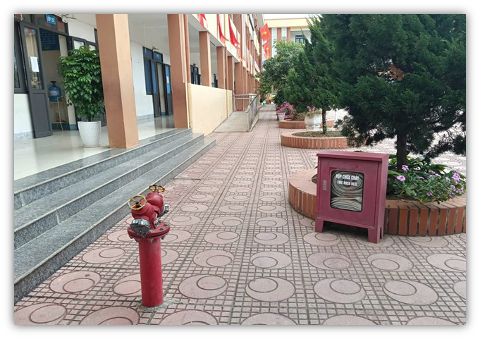 Picture6